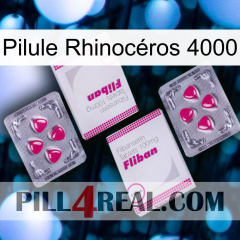 Pilule Rhinocéros 4000 33